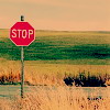 Ok3w.Net -- c(din)x