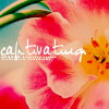 Ok3w.Net -- c(din)x