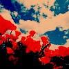 Ok3w.Net -- c(din)x